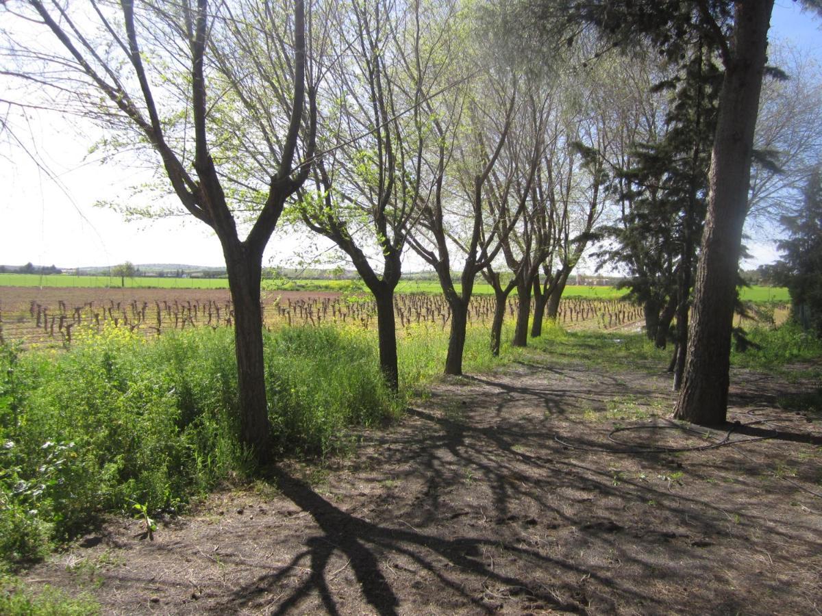 Casa Finca Rural La Huerta アルマグロ エクステリア 写真